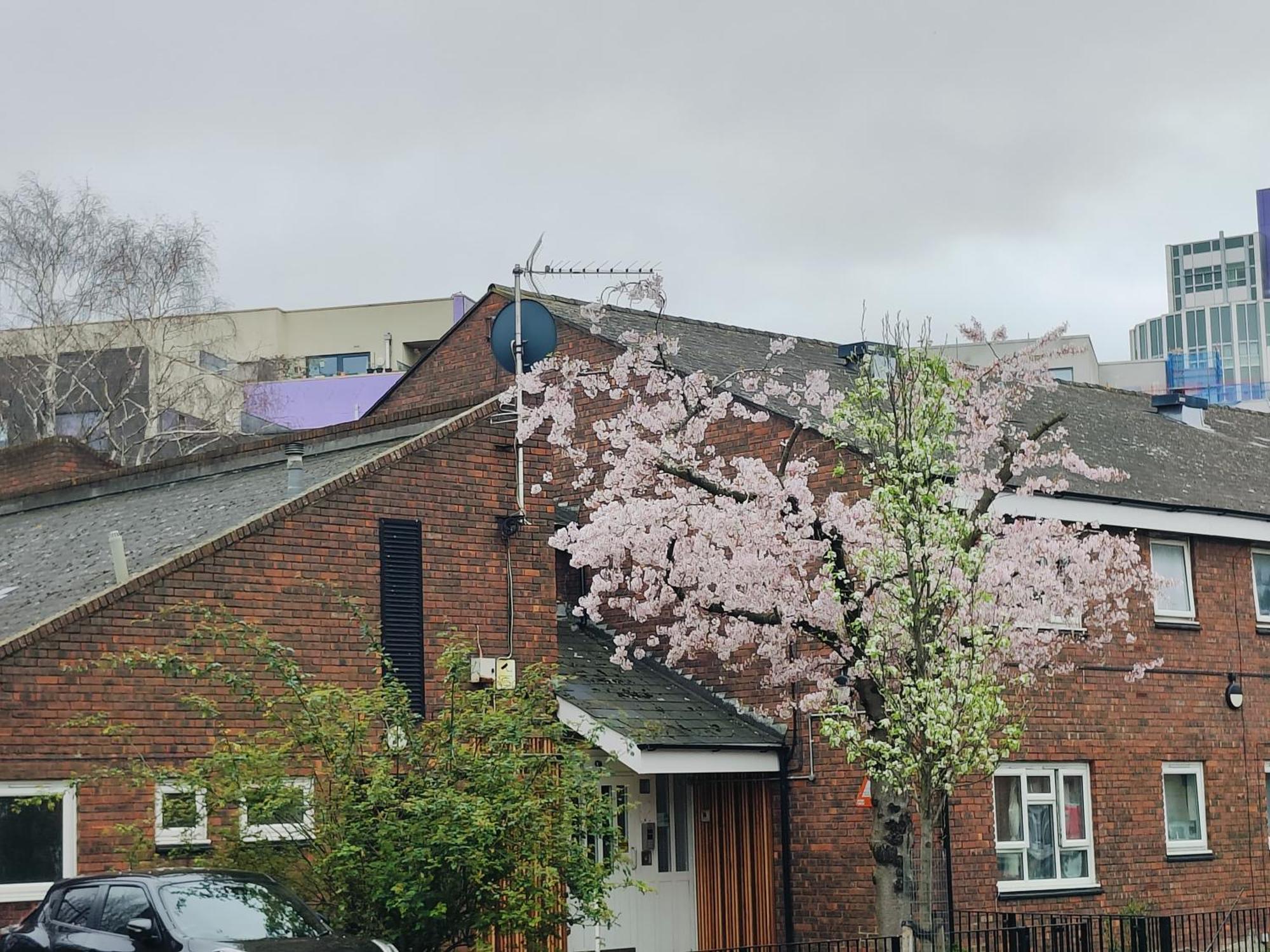 Clifton House O2 & Excel Rooms With Private Bathroom And Breakfast Option Londra Esterno foto